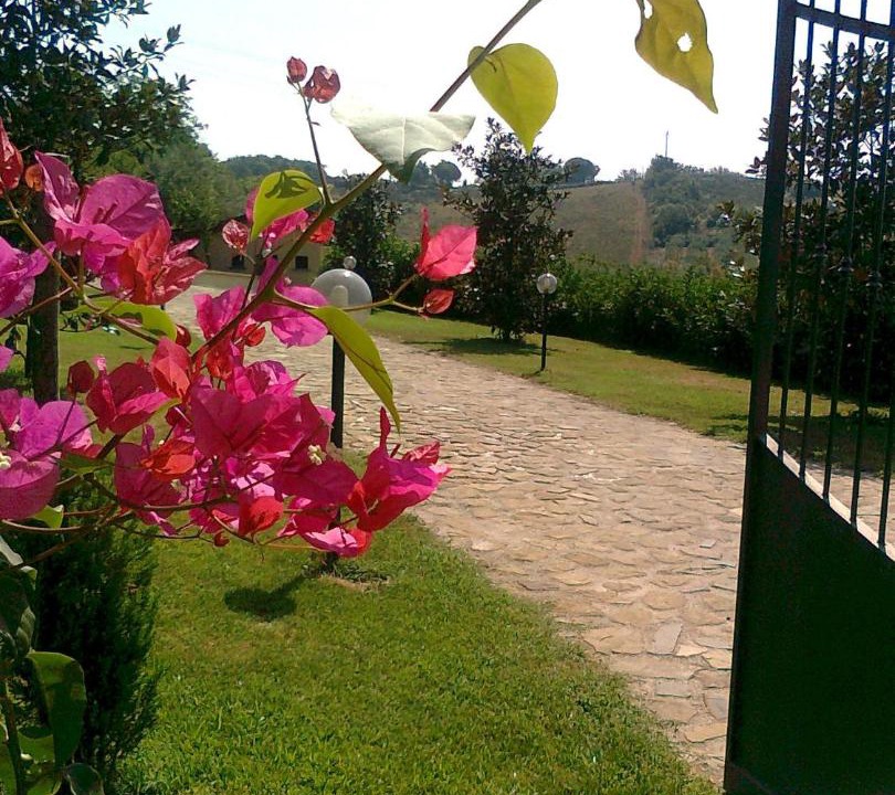 Photo of Others in Altavilla Silentina