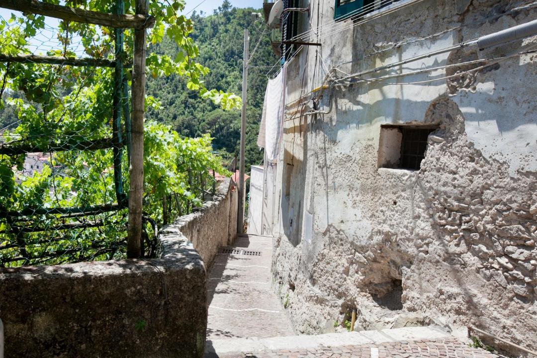 Photo of Others in Maiori