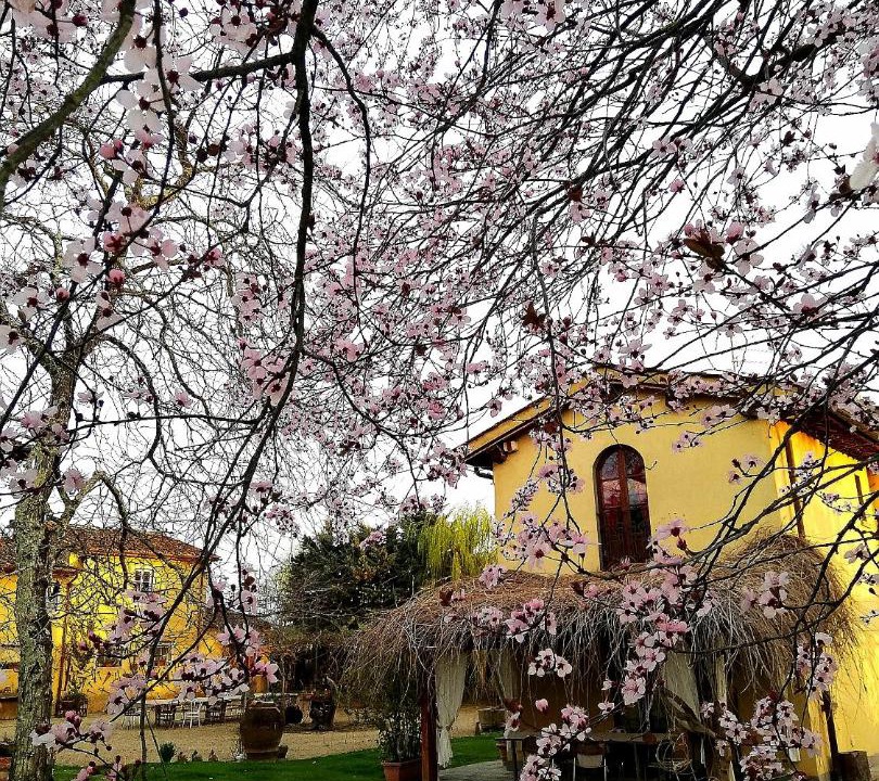 Photo of Others in Cicogna