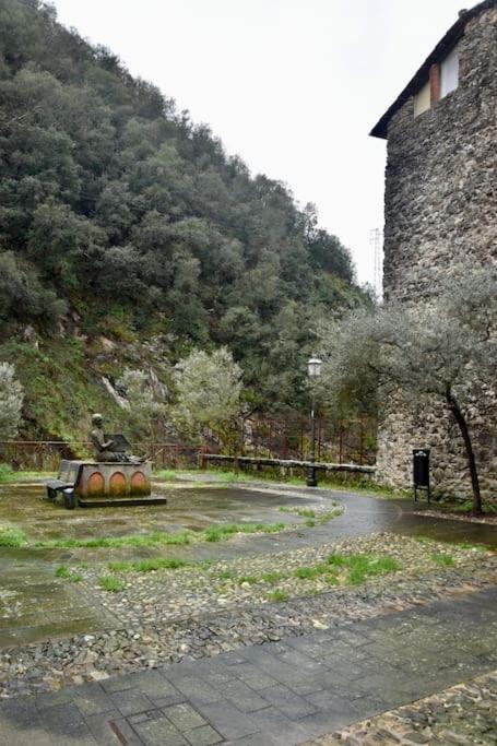 Photo of Others in Isolabona