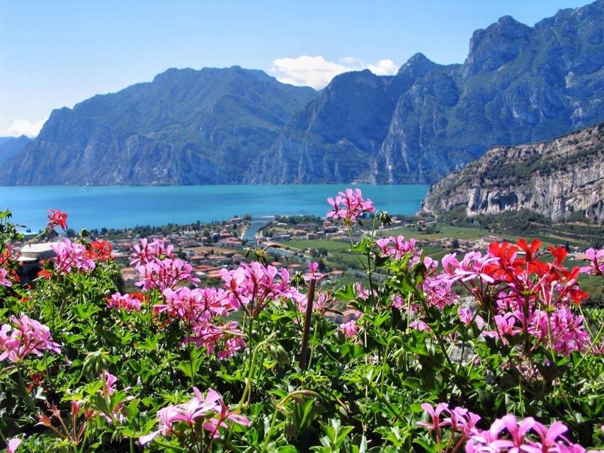 Photo of Others in Torbole sul Garda