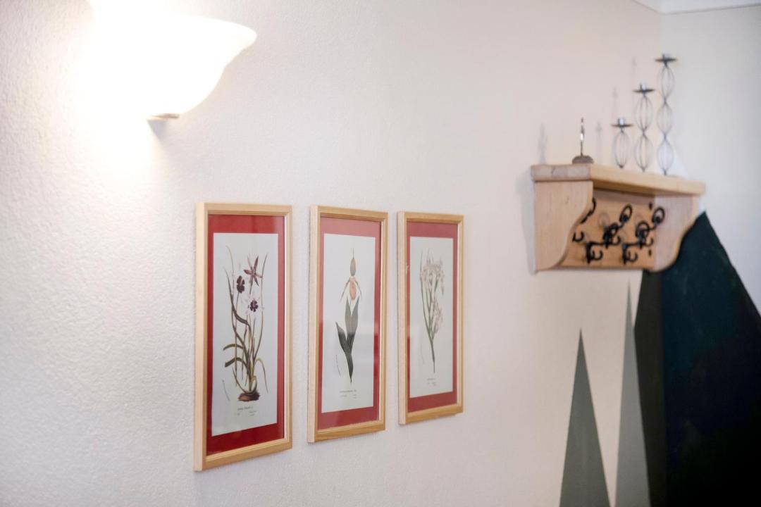 Photo of Others in Campodolcino