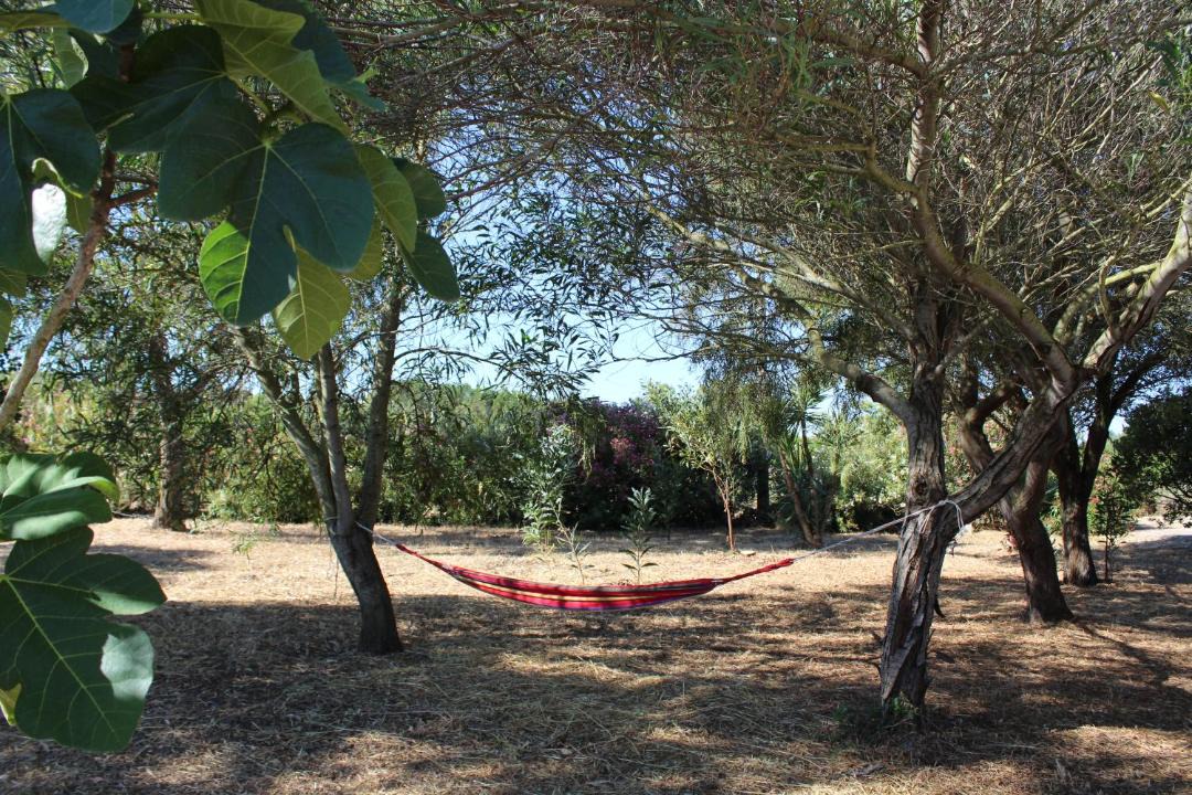 Photo of Others in Olmedo