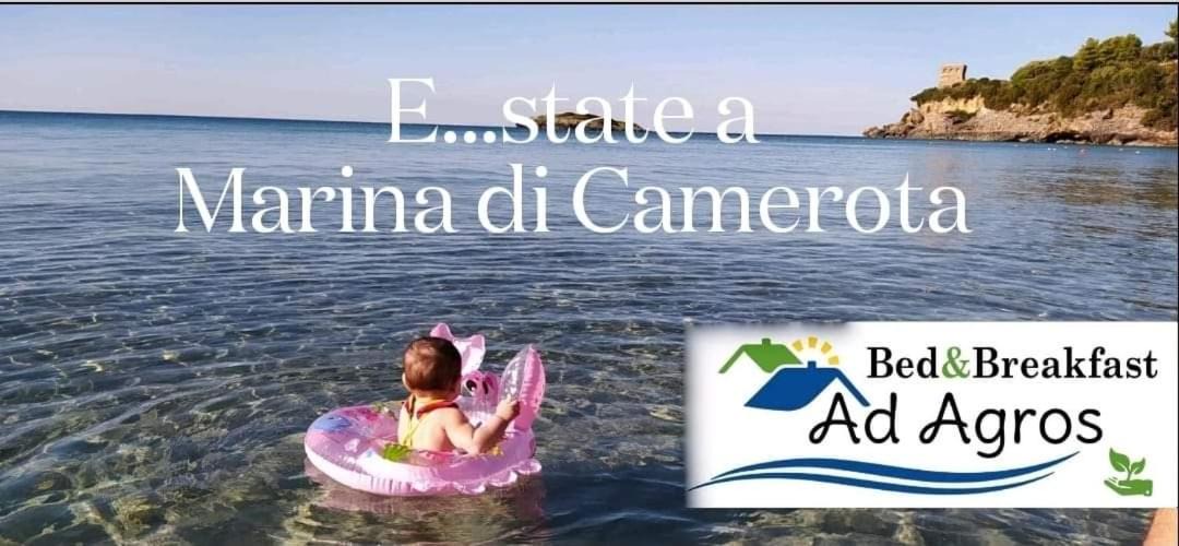 Photo of Others in Marina Di Camerota