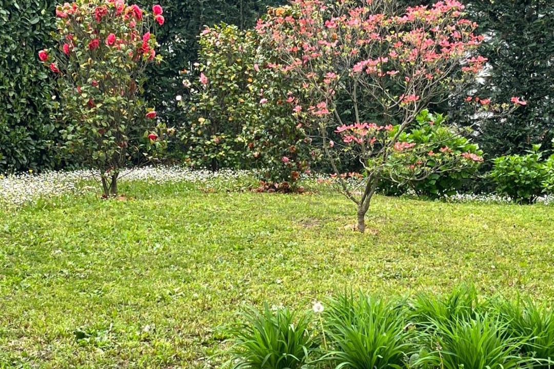 Photo of Outdoor in Merate