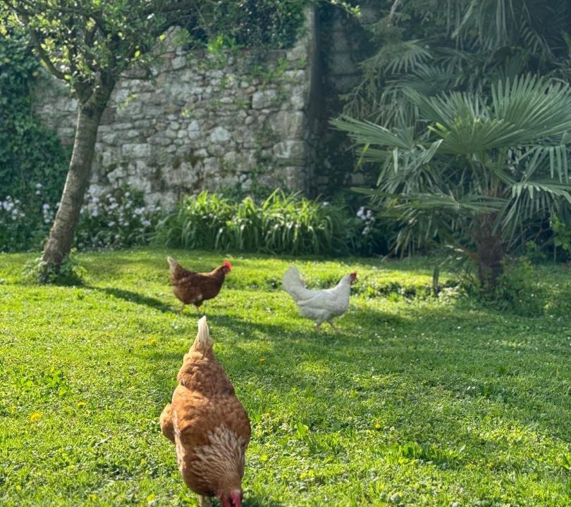 Photo of Others in Gorizia