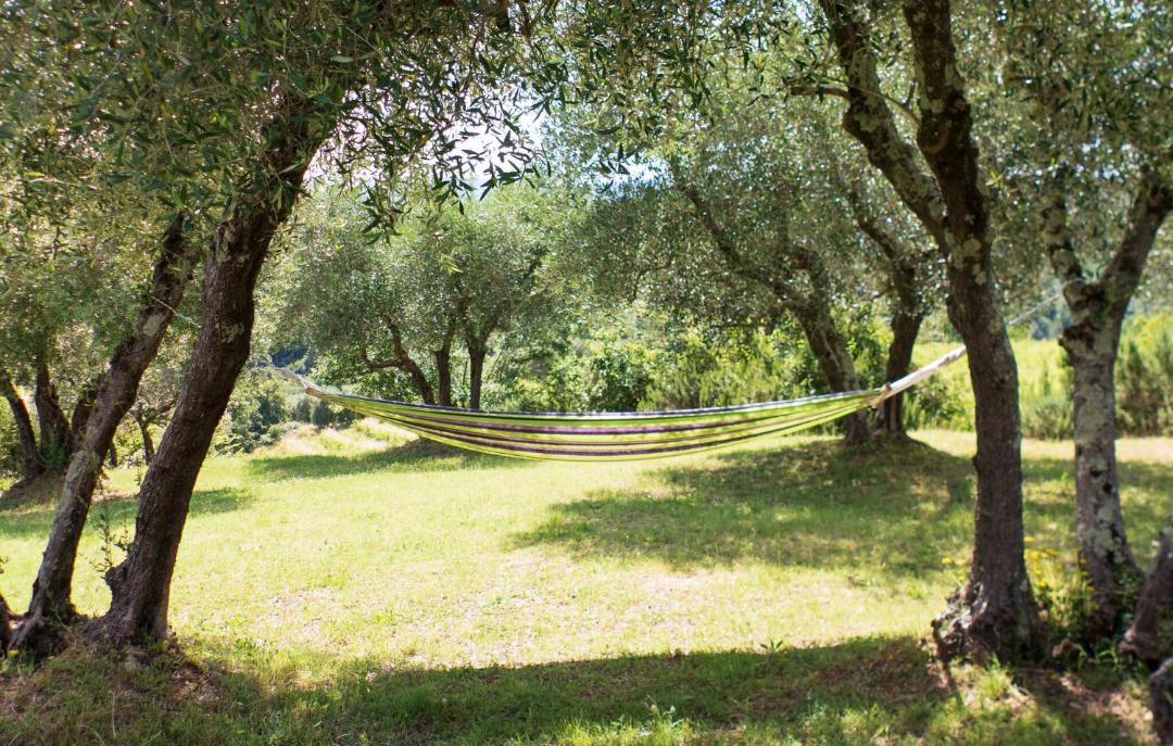 Photo of Outdoor in Siena