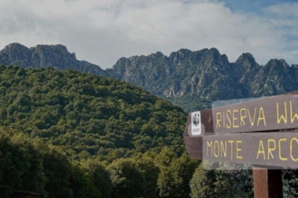 Photo of Others in Capoterra