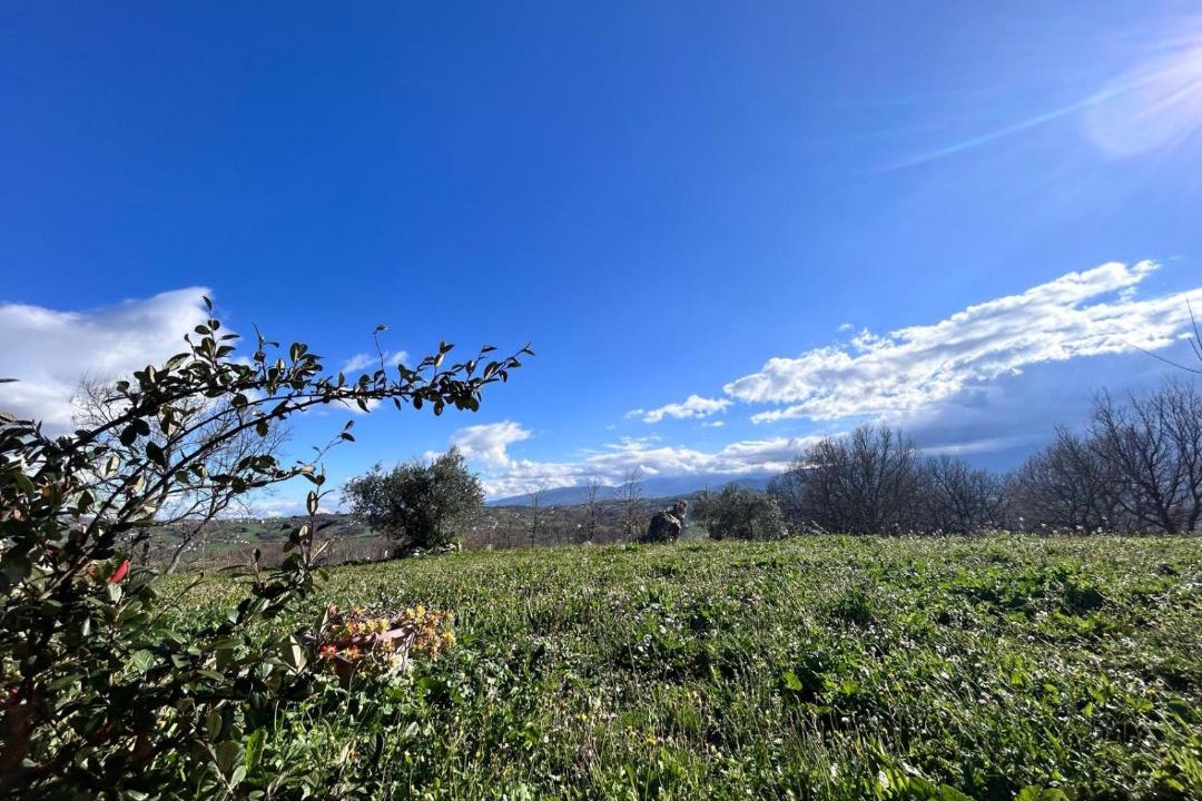Photo of Outdoor in Busso