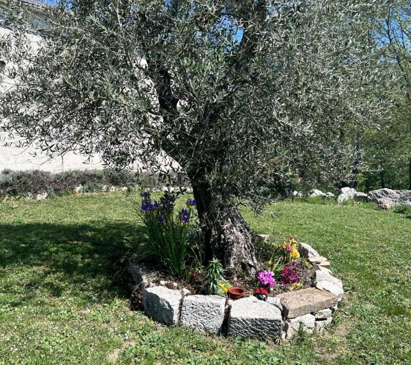 Photo of Others in Busso