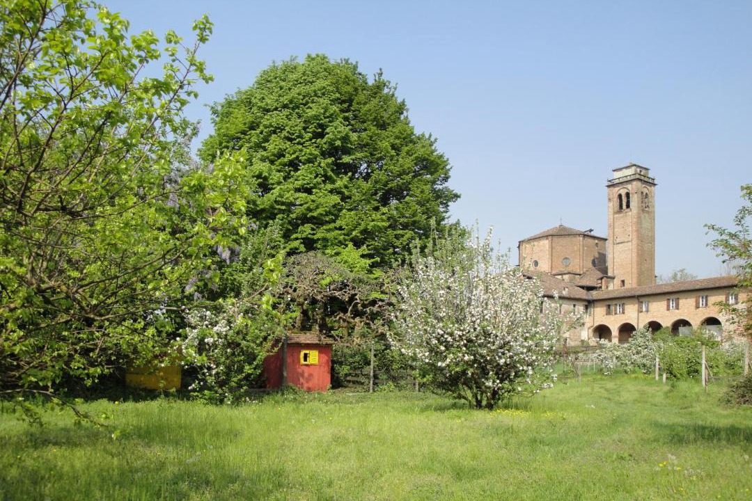 Photo of Buildings in Castelleone