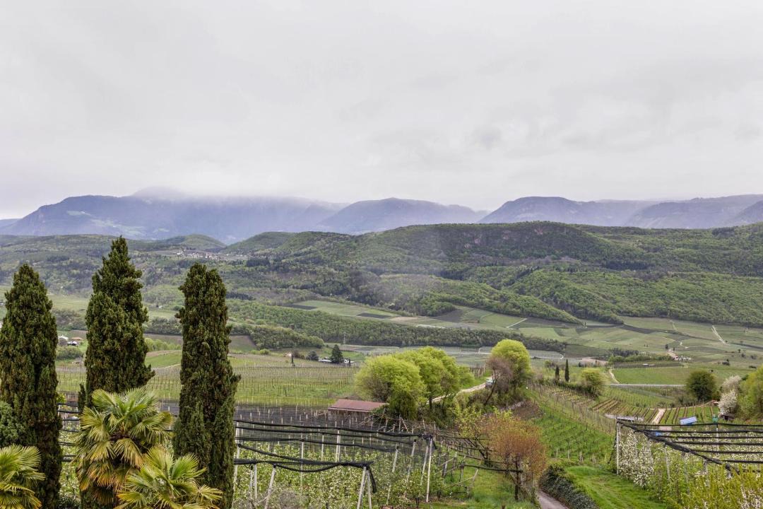 Photo of Others in Caldaro Sulla Strada del Vino