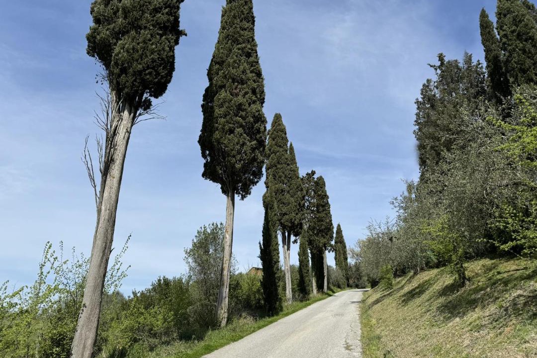Photo of Others in Certaldo