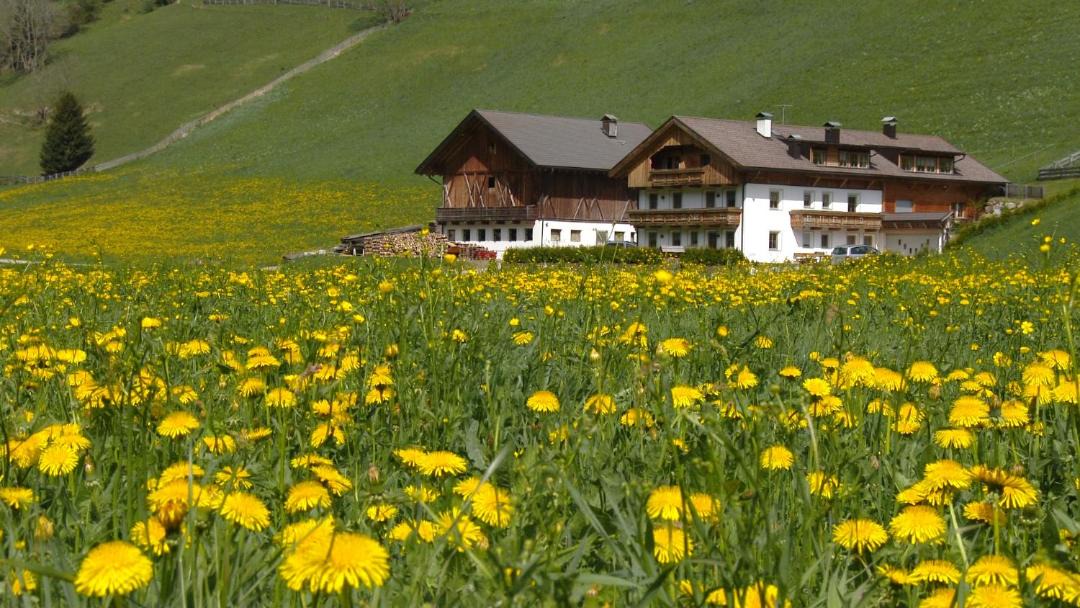 Photo of Others in San Candido