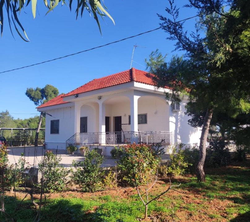 Photo of Others in Province of Lecce