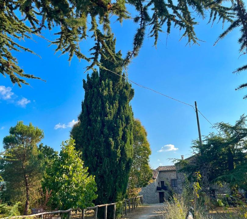 Photo of Others in Montieri