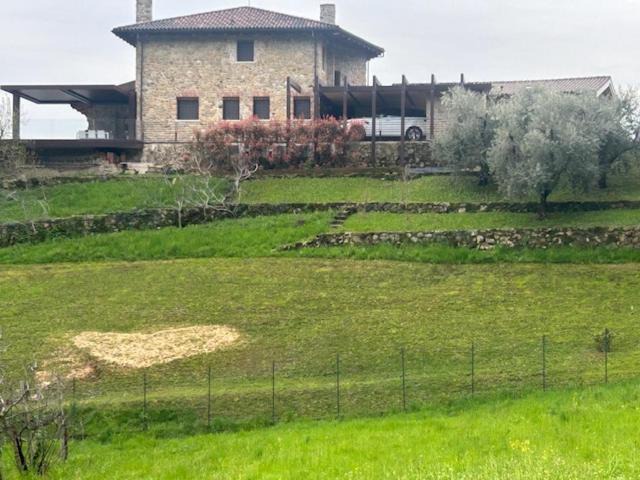 Photo of Others in Marostica