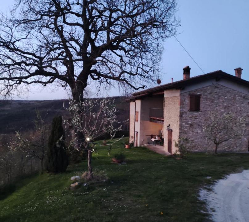 Photo of Buildings in Zocca