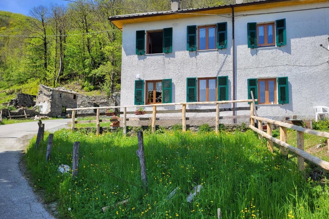 Photo of Others in Borzonasca