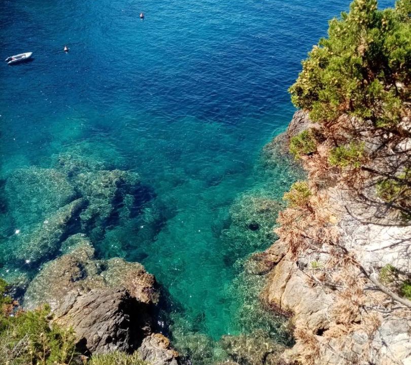 Photo of Others in Cala Piccola