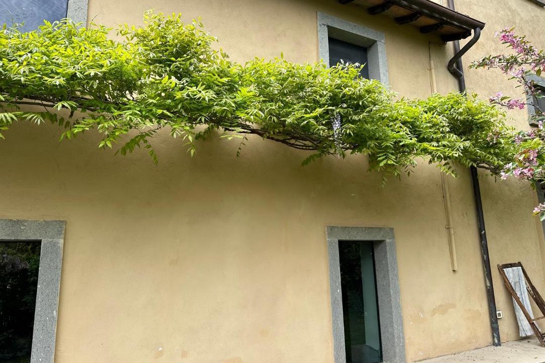 Photo of Buildings in Montefiascone