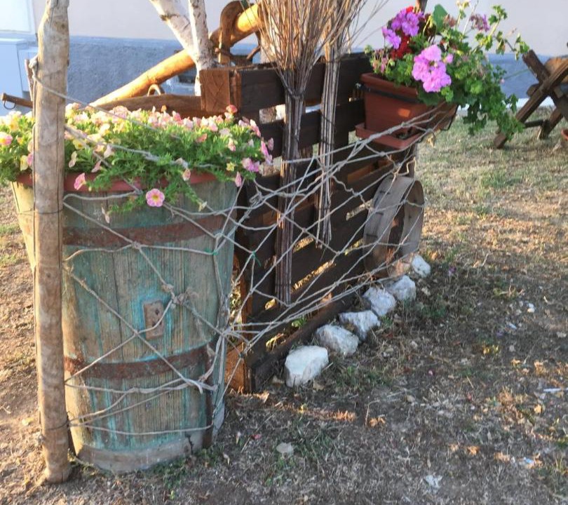 Photo of Others in Acciano