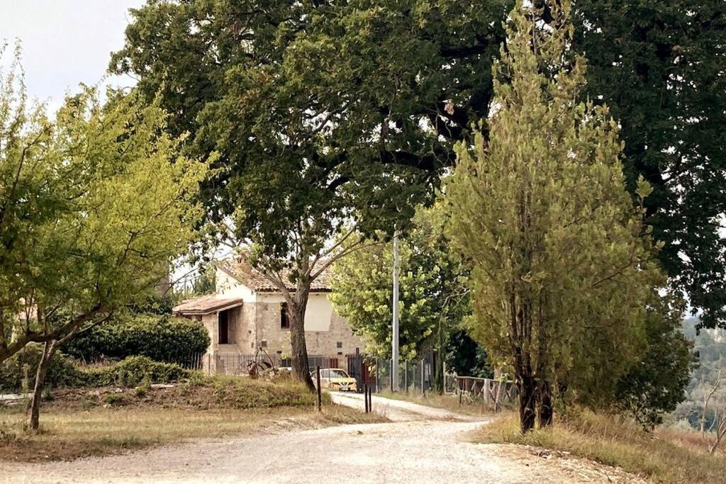 Photo of Others in Acquasparta