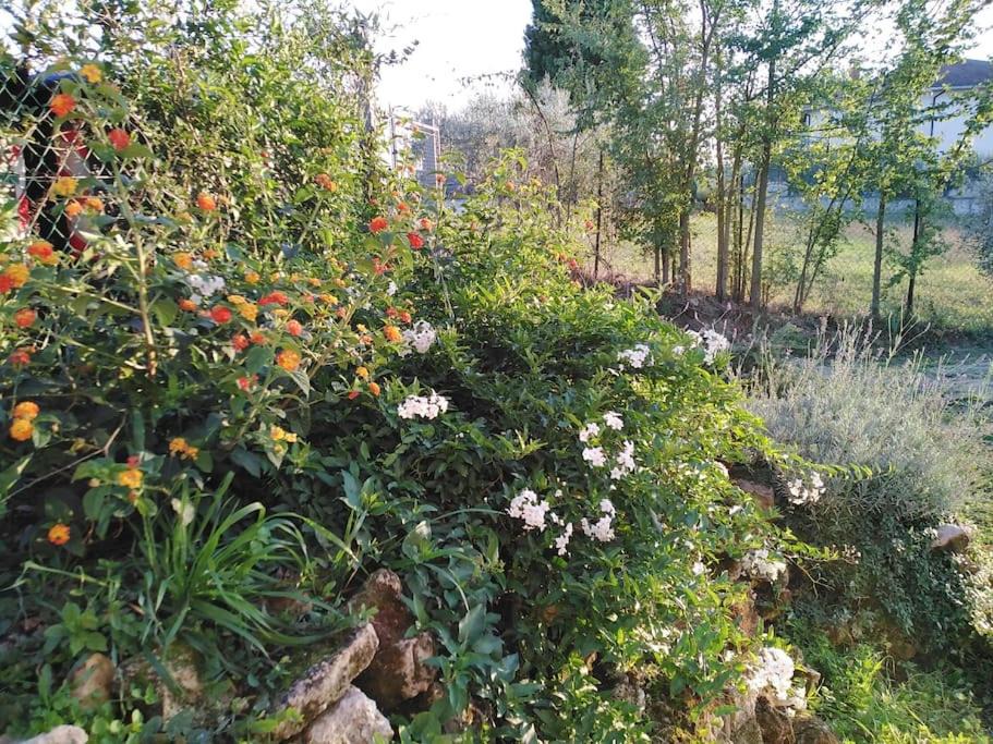 Photo of Outdoor in Acquasparta