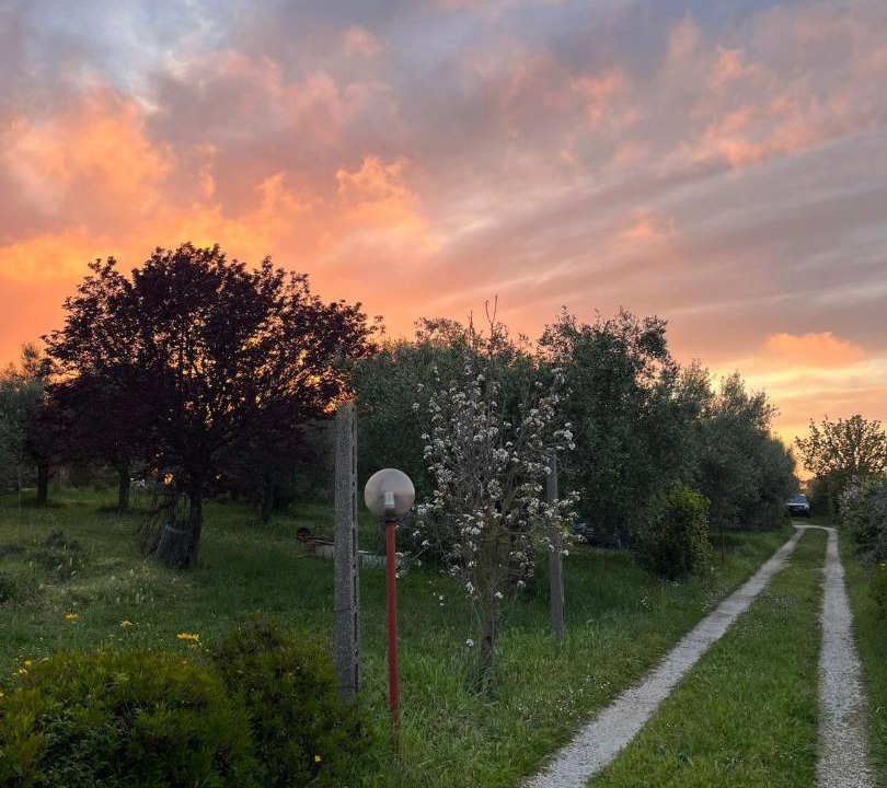 Photo of Others in Albano Laziale