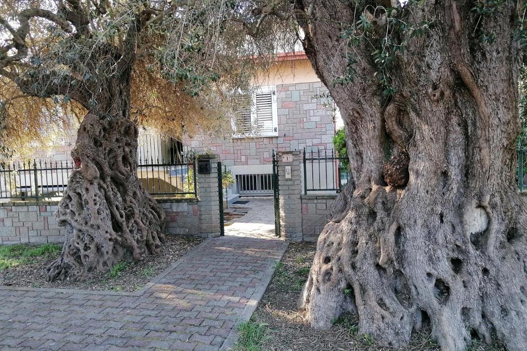 Photo of Buildings in Turri