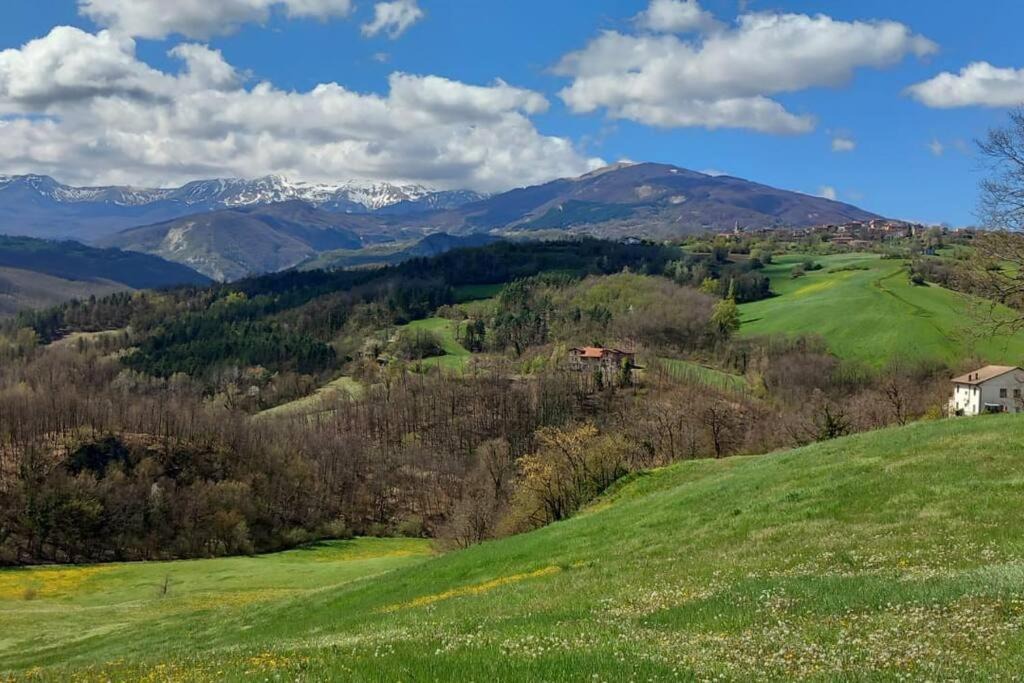 Photo of Outdoor in Toano