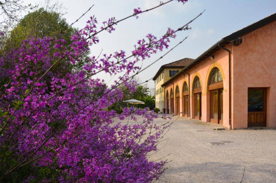 Photo of Others in Fossalta Maggiore
