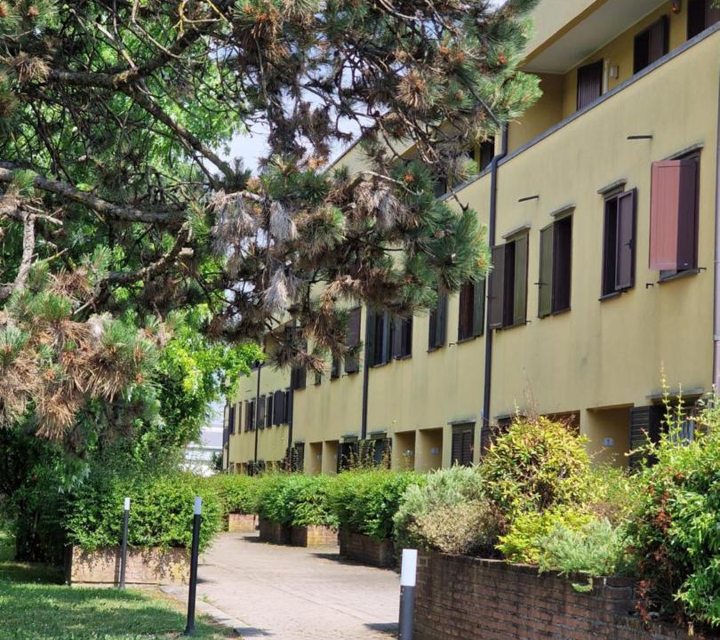 Photo of Buildings in Udine