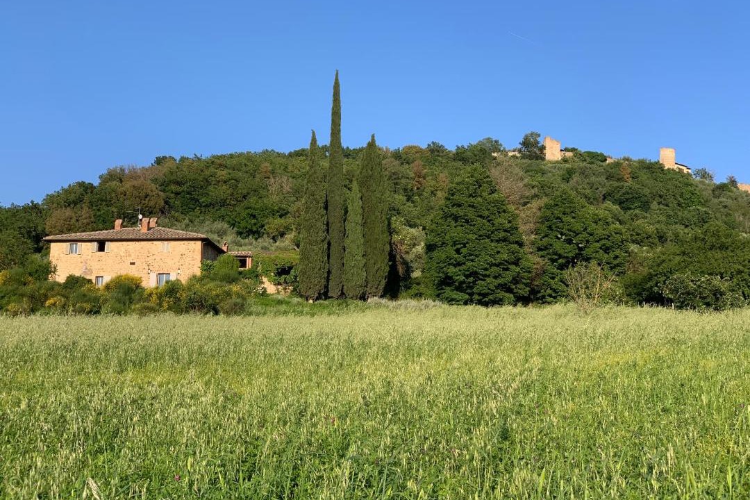 Photo of Others in Pienza