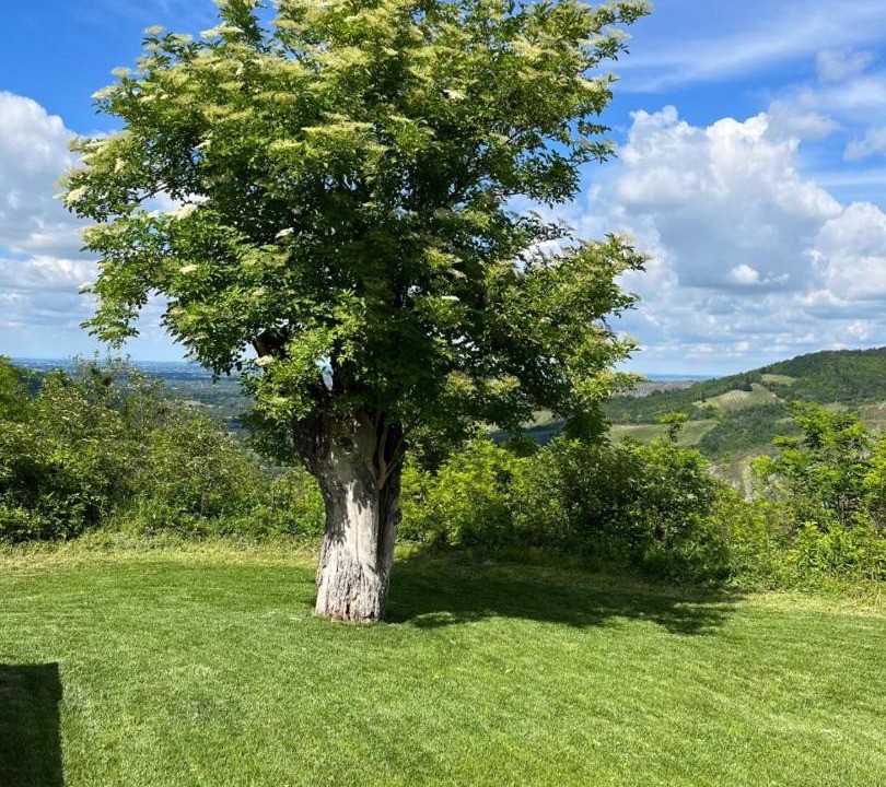 Photo of Outdoor in Mercatale