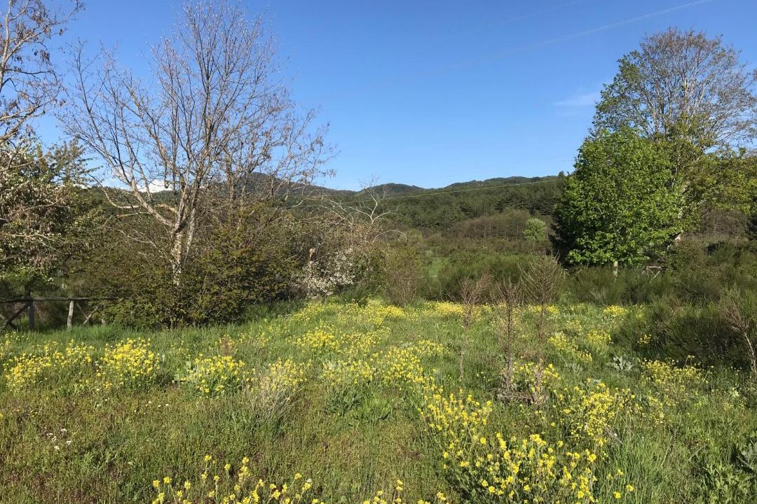 Photo of Outdoor in Camigliatello