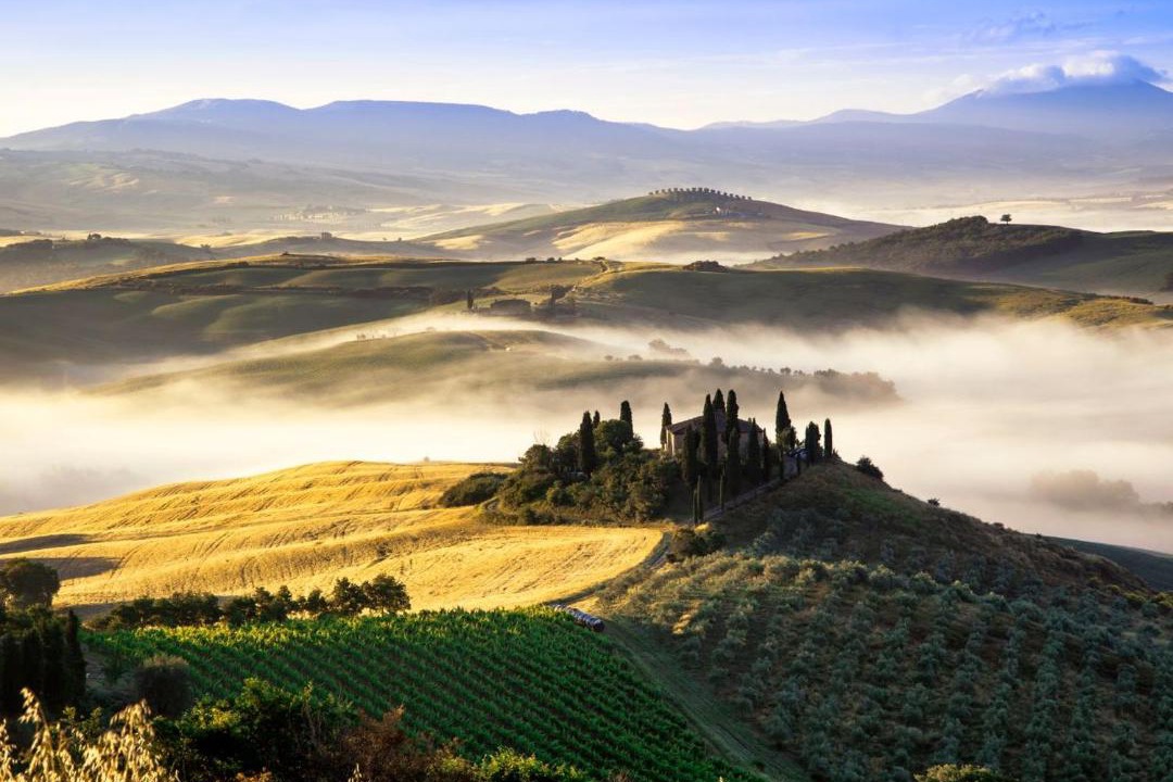 Photo of Others in Montefollonico