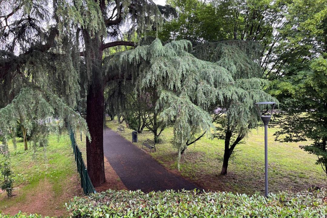 Photo of Outdoor in Cornaredo