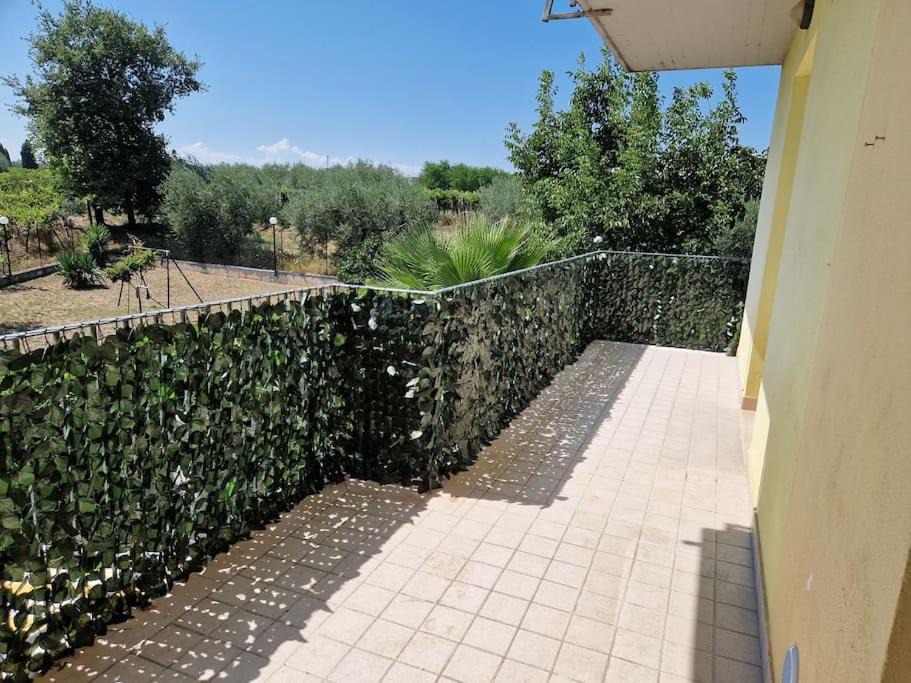 Photo of Patio Balcony in Villa Caldari