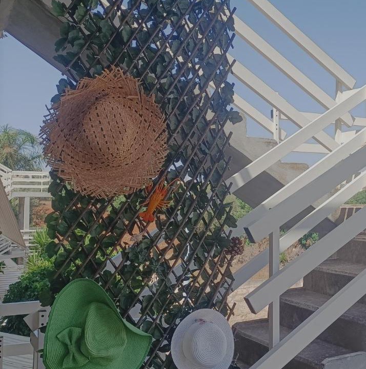 Photo of Patio Balcony in Caucana-finaiti-casuzze-finaiti Nord