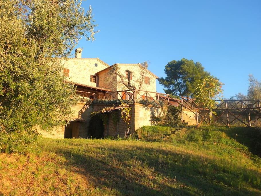 Photo of Others in Corbara