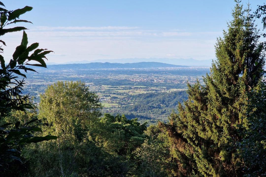 Photo of Others in Castellamonte