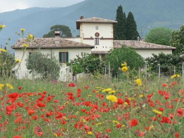 Photo of Others in Poreta