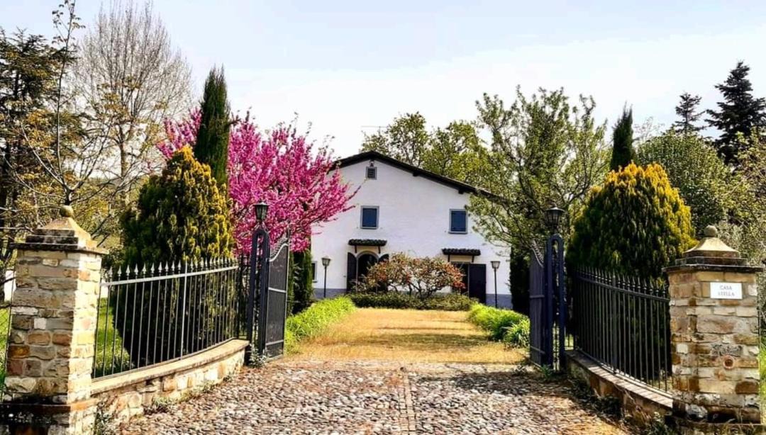 Photo of Others in Savigno