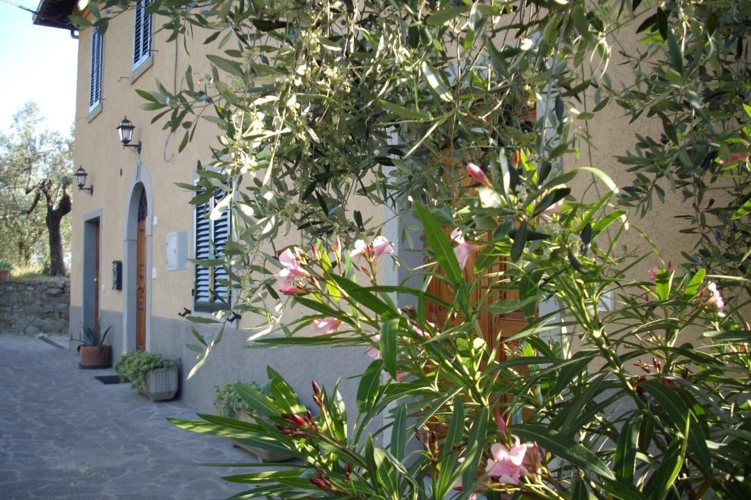 Photo of Others in Terontola