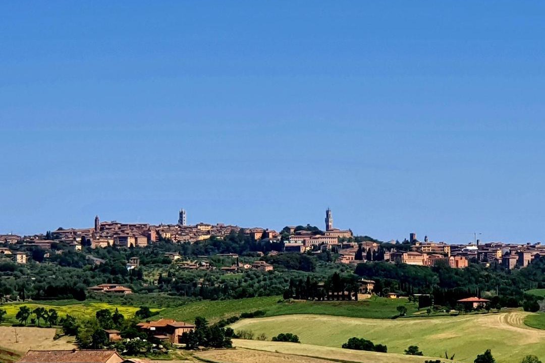 Photo of Others in Siena