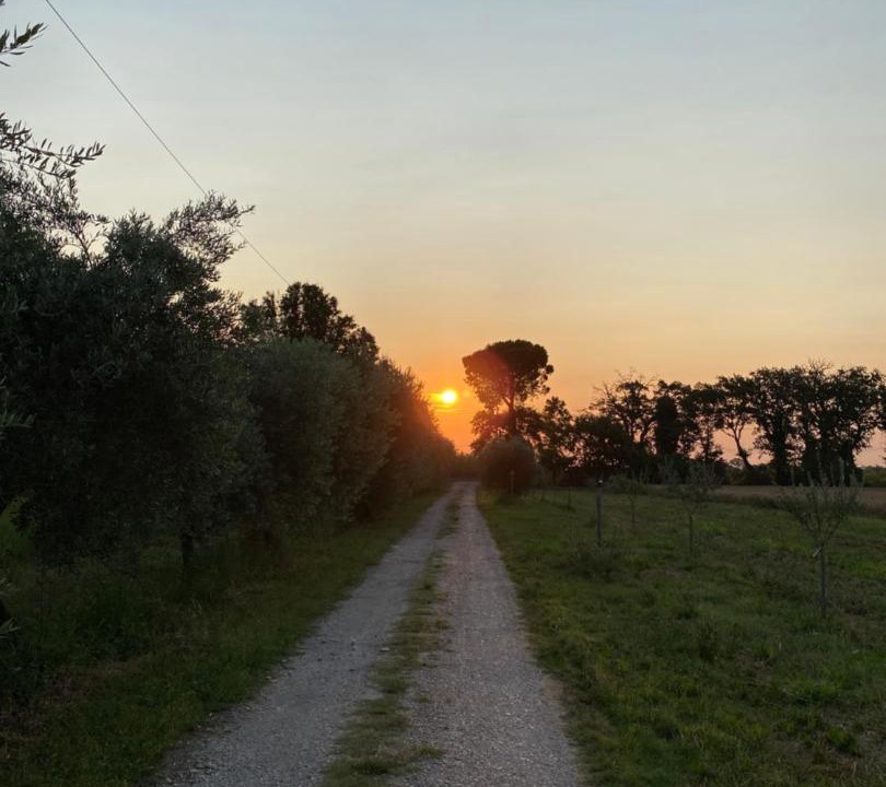 Photo of Others in Santarcangelo di Romagna