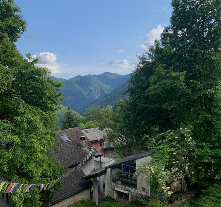 Photo of Others in Cursolo-Orasso