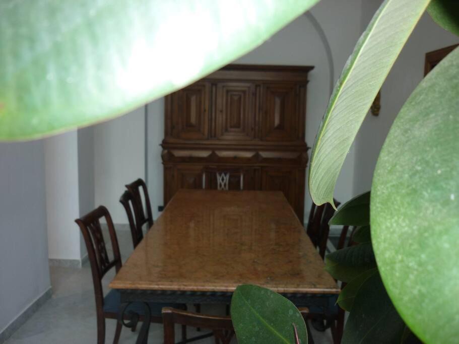 Photo of Others in Castel Gandolfo