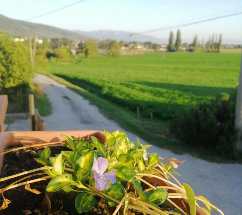 Photo of Others in Casenuove